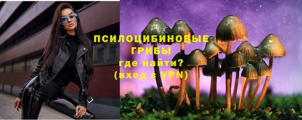 тгк Краснотурьинск