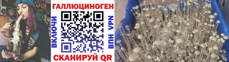 Псилоцибиновые грибы мухоморы  omg tor  Льгов 