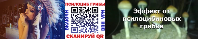 Псилоцибиновые грибы GOLDEN TEACHER Льгов